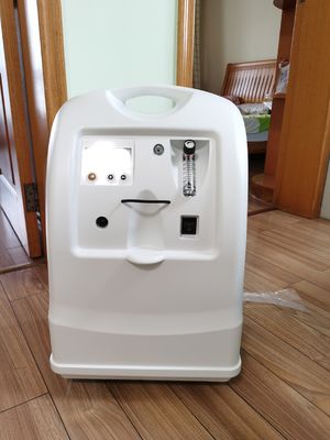 95.6% 10L portable Oxygen Generator Guangdong Medical Oxygen Concentrator