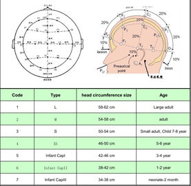 Good Quality 20 Channel EEG Cap without EEG Electrode M Size Separating EEG Cap