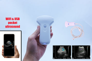 Portable Wireless Convex Linear Ultrasound Probe Color Doppler Lithium Battery Built In