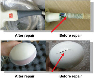  CA431 Convex Array Ultrasound Transducer Probe