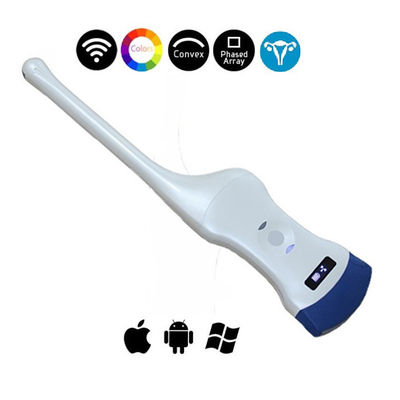 Double Head Transvaginal Array Wireless Ultrasound Probe 3.5MHZ